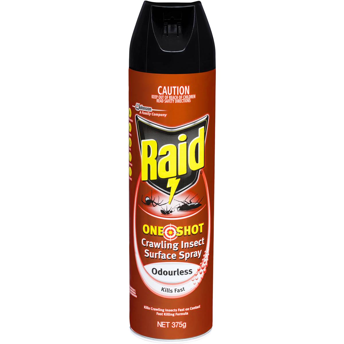 Raid One Shot Insect Spray Odourless